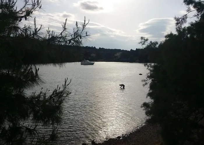 Emeli - Close To Beaches & Downtown *