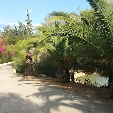 Emeli - Close To Beaches & Downtown Tatil Evi