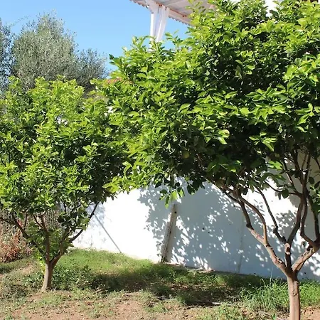 Emeli - Close To Beaches & Downtown Tatil Evi *