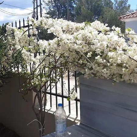 Emeli - Close To Beaches & Downtown *