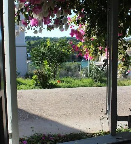 Emeli - Close To Beaches & Downtown