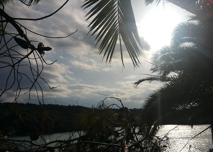 בית נופש Emeli - Close To Beaches & Downtown