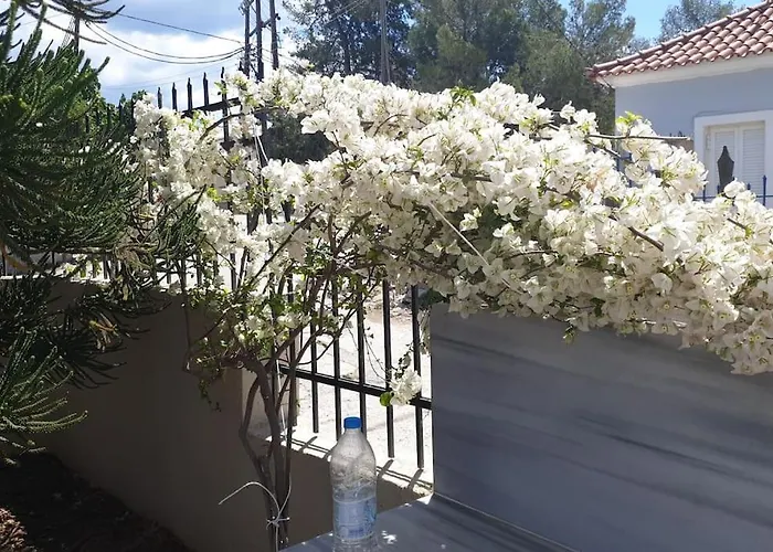 Emeli - Close To Beaches & Downtown *